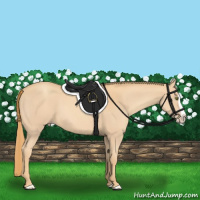 Horse Color:Gold Champagne Splash 