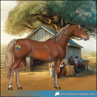 Horse Color:Chestnut 