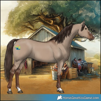 Horse Color:Liver Red Dun 