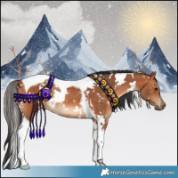 Horse Color:White Spotted Bay Tobiano