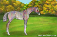 Horse Color:Nacre Silver Blue Onyx