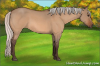 Horse Color:Silver Bay Roan Dun 