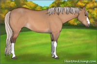Horse Color:Silver Bay Dun 