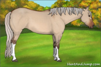 Horse Color:Silver Bay Dun 