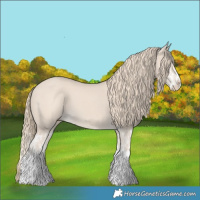 Horse Color:Smoky Creme Splash  and Smoky Creme Splash 