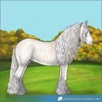 Horse Color:Cremello Splash  and Gray Cremello Splash 