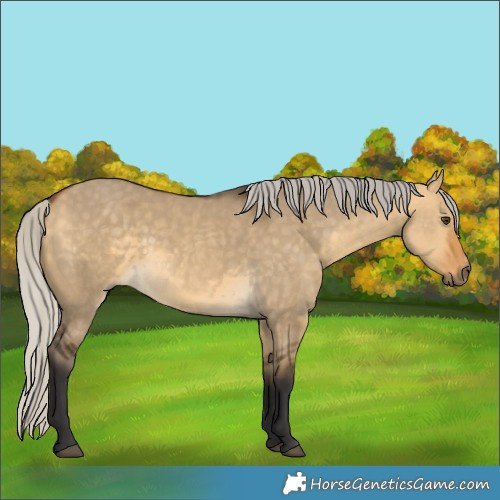 Horse Color:Silver Buckskin Dun 