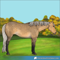 Horse Color:Silver Buckskin Dun 