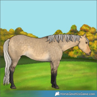 Horse Color:Silver Buckskin Dun 