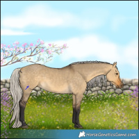 Horse Color:Silver Buckskin Dun 