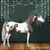 Horse Color:Liver Chestnut Splash Tobiano Appaloosa 