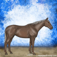 Horse Color:Silver Black 