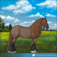 Horse Color:Liver Red Dun Rabicano 