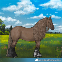 Horse Color:Liver Red Dun Rabicano 