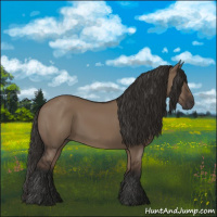 Horse Color:Liver Red Dun Rabicano 