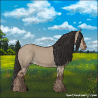 Horse Color:Liver Red Dun Rabicano 