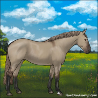 Horse Color:Liver Red Dun Rabicano