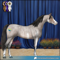 Horse Color:White Spotted Bay Roan Dun Rabicano 