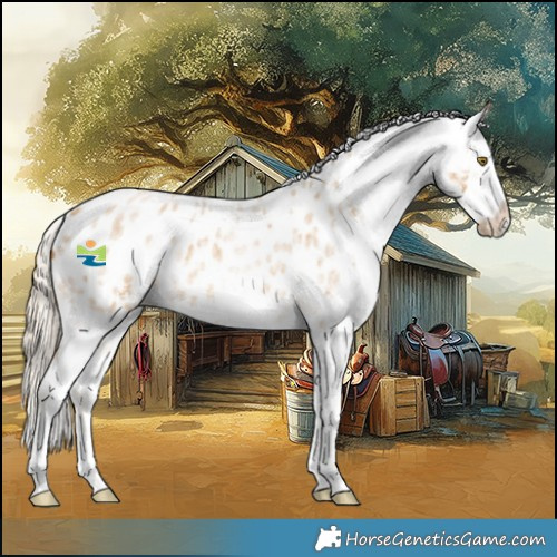 Horse Color:White Spotted Palomino Roan Appaloosa Rabicano 
