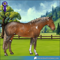 Horse Color:White Spotted Chocolate Palomino Tobiano 