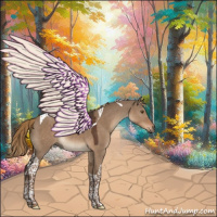 Horse Color:Liver Red Dun Tobiano 