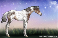 Horse Color:Liver Chestnut Tobiano Frame