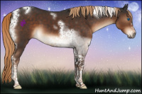 Horse Color:Liver Chestnut Tobiano Frame 