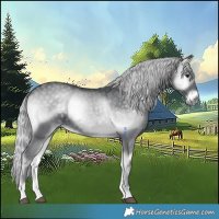 Horse Color:Silver Blue Onyx Chinchilla Rabicano 