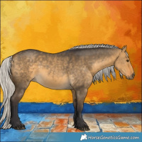 Horse Color:Silver Buckskin Dun 