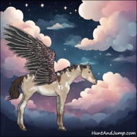 Horse Color:White Spotted Liver Red Dun Rabicano 