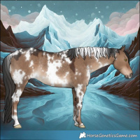 Horse Color:White Spotted Liver Red Dun Rabicano 