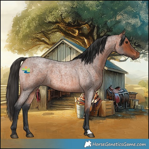Horse Color:Bay Roan 