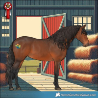 Horse Color:Brown 