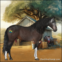 Horse Color:Gray Brown 