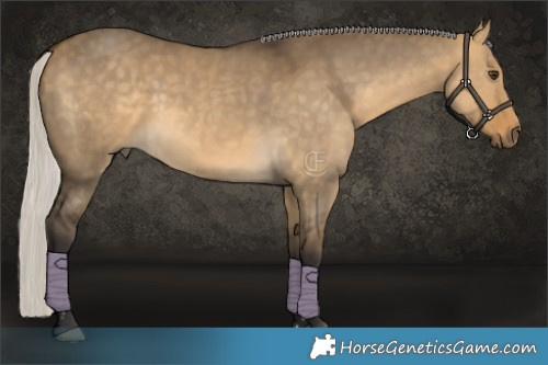 Horse Color:Silver Buckskin Dun 