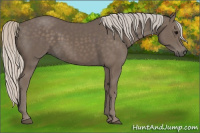 Horse Color:Silver Black 