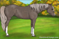 Horse Color:Silver Black 