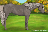 Horse Color:Silver Black 