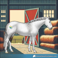Horse Color:Gray Bay Tobiano Frame Rabicano 