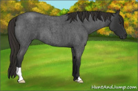 Horse Color:Liver Red Roan 