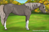 Horse Color:Silver Black 