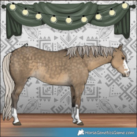 Horse Color:Silver Smoky Grullo 
