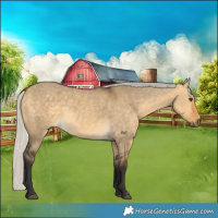 Horse Color:Silver Buckskin Dun 