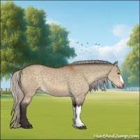Horse Color:Silver Buckskin Dun 