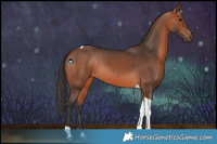 Horse Color:Bay Tobiano