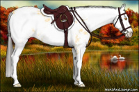 Horse Color:Buckskin Dun Sabino 