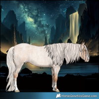 Horse Color:Silver Classic Champagne Roan Sabino Rabicano 