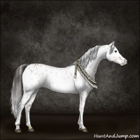 Horse Color:White Spotted Bay Rabicano