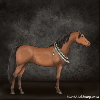 Horse Color:Bay Sabino Rabicano