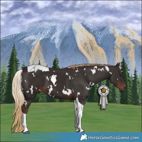 Horse Color:White Spotted Liver Chestnut Tobiano 